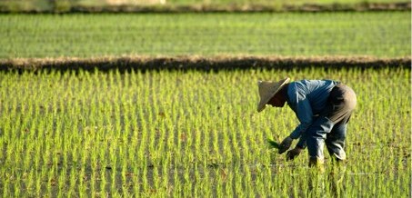 China increasing investment in South American agriculture