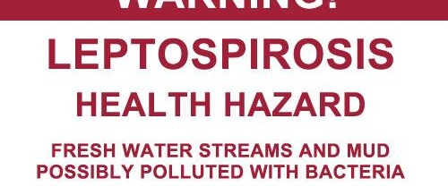 Dominica Director of Agri dies from Leptospirosis