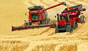 Favorable weather leads to record E.U. cereal production