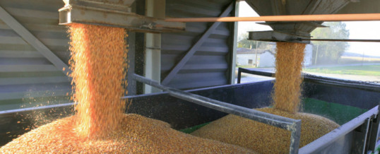 US grain freight prices move higher