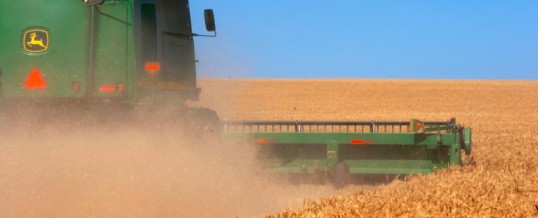 Russia wheat output expected to fall in 2021-22