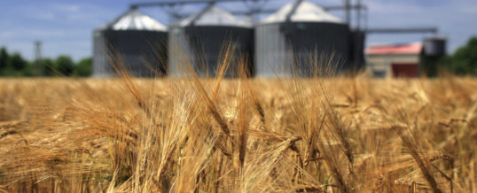 Protein problems, water woes trouble US grain industry