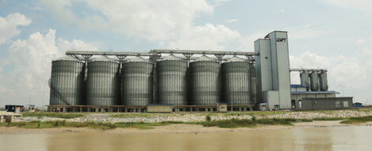 Technical Profile: Tropical grain storage challenges