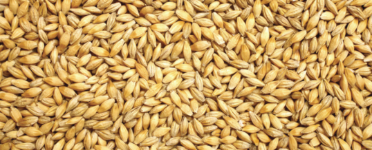 Grain sector rebounding from pandemic