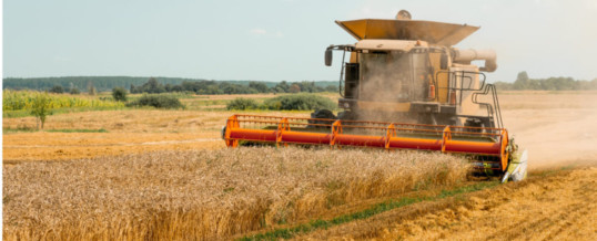 USDA pegs Sept. 1 wheat stocks at 1.8 billion bushels