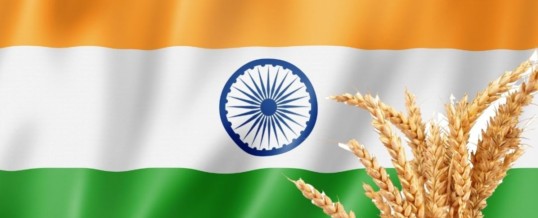 India ups wheat exports as Russia-Ukraine conflict continues – Caribbean  Millers' Association