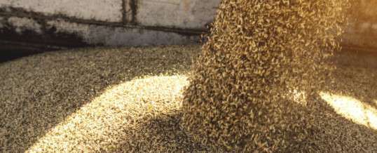 Canada to help Ukraine move stranded grain