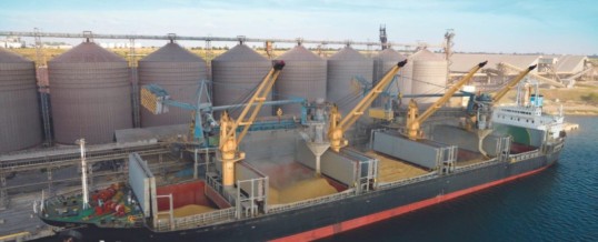 Grain shipping trade navigates turbulent waters